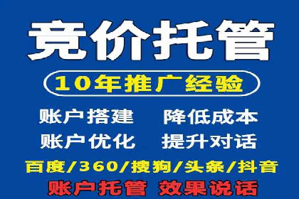 百度SEM广告策略在电商行业的成功案例